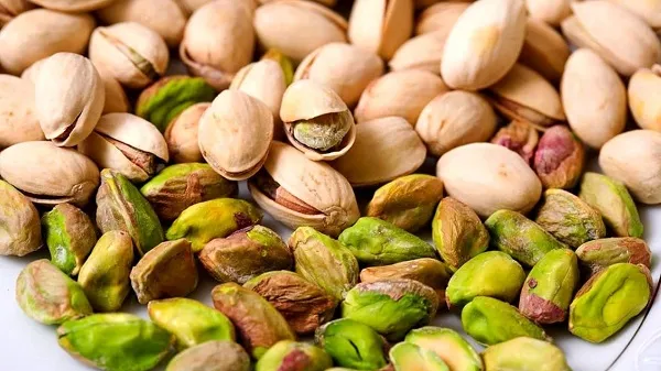 خرید پسته خام صادراتی + قیمت عالی با کیفیت تضمینی