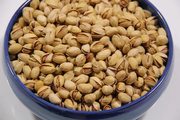 خرید پسته کله قوچی خام + قیمت عالی با کیفیت تضمینی