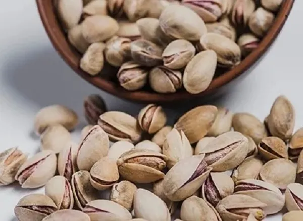 قیمت خرید پسته بادامی زرندی + خواص، معایب و مزایا