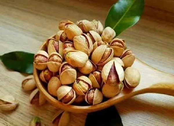 قیمت خرید پسته اکبری دستچین رفسنجان + خواص، معایب و مزایا
