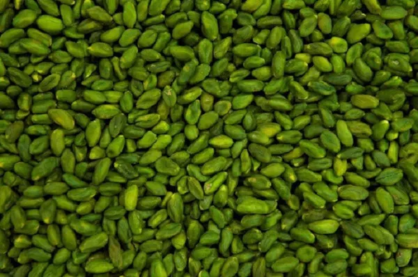 خرید مغز پسته سبز کال + قیمت عالی با کیفیت تضمینی