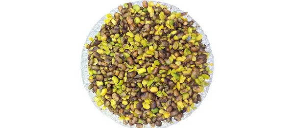 خرید مغز پسته کوهی بنه + قیمت عالی با کیفیت تضمینی
