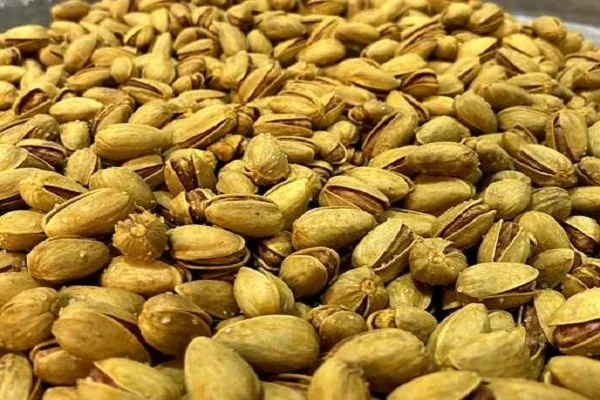 قیمت خرید پسته اکبری دستچین زعفرانی + خواص، معایب و مزایا